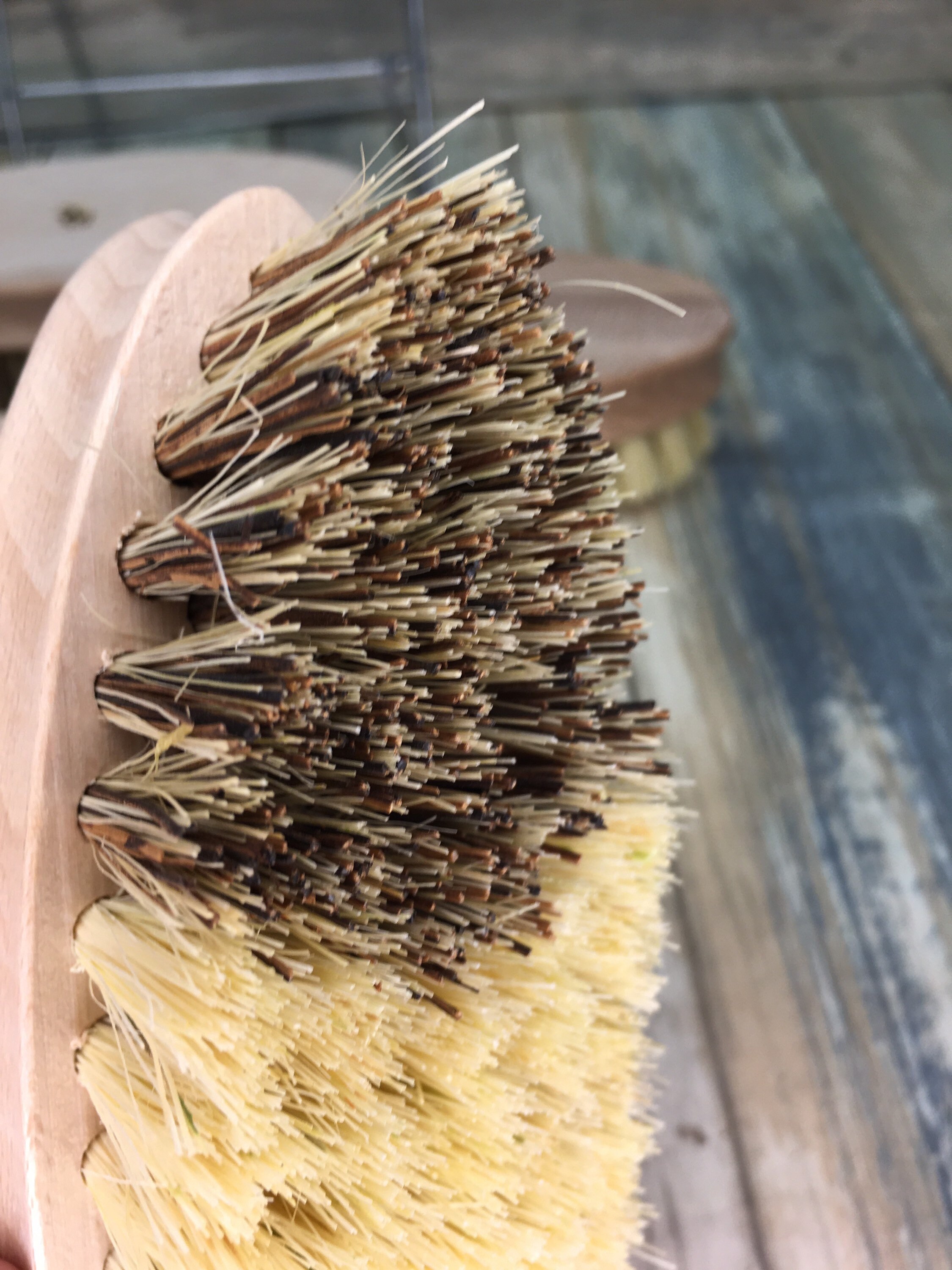 USA Made VEGAN Friendly Plant Fiber Multipurpose VEGETABLE