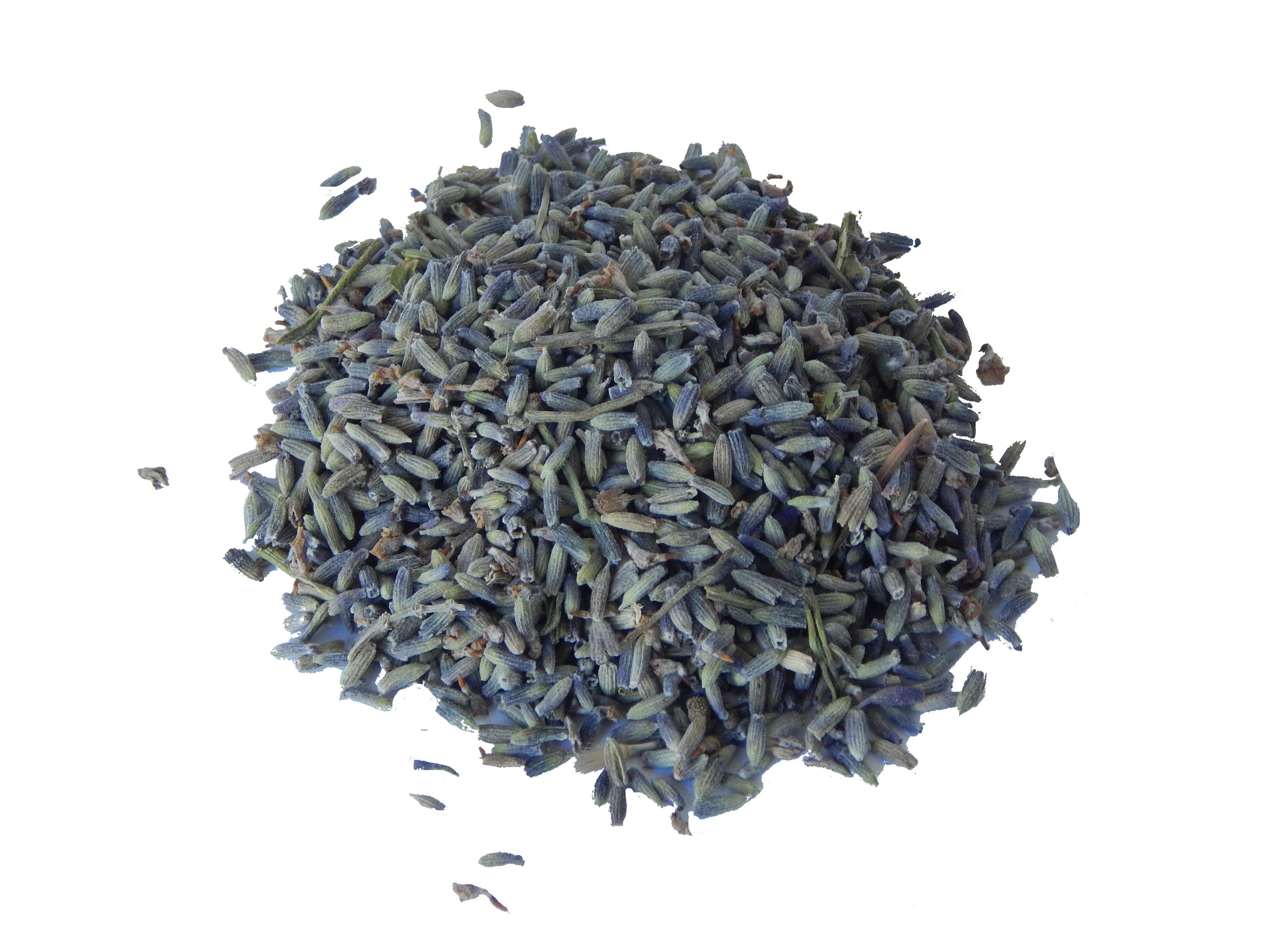 Français Lavande Séchée| Idéal Pour Les Mariages, Sachets, Bougies, et Plus Encore | Épices Marnamar