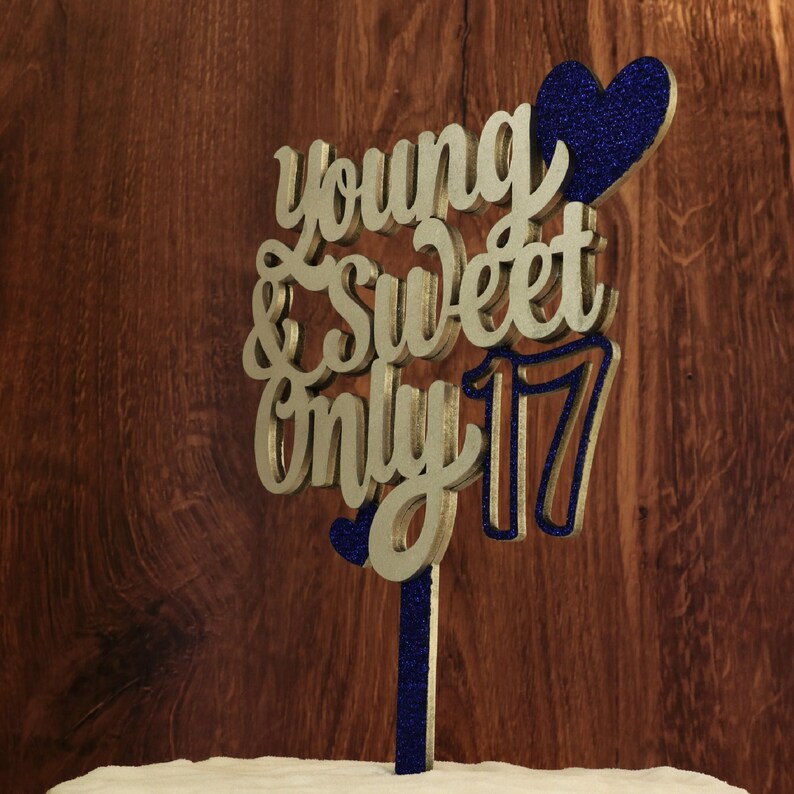 Roaring Good Time Argento Blu Young and Sweet Only 17 Compleanno Decorazione Young and Sweet Only 17 Banner Disco Palloncini Dancing Queen 17 Decorazione Disco Banner Compleanno Corona Regina