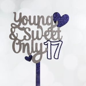 Young Sweet Only 17 Wood Cake Topper, Teenage Party Decor, Birthday Party, Sweet 17th Birthday, Teenager Party, Birthday Number Cake,