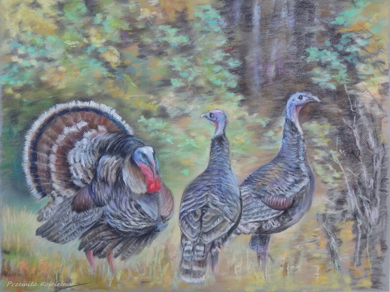 Wilde Dindes Faune Oiseaux Original Dessin Au Pastel Sec Paysage Avec Wilde Oiseaux Illustration Animal Art