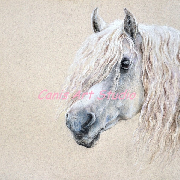 WHITE HORSE PORTRAIT, Original pastel drawing, Large size, White creamy, Horse art, Catalogue of the exhibition