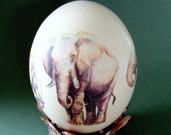 Ostrich egg elephants