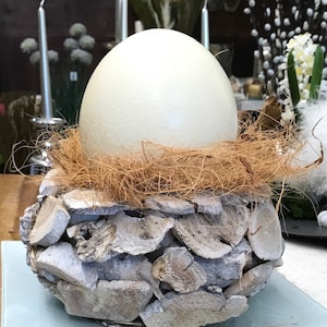 Ostrich egg image 1