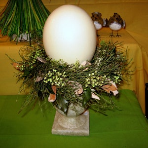 Ostrich egg image 6