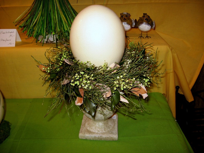 Ostrich egg image 6