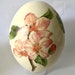 see more listings in the Ostrich eggs section