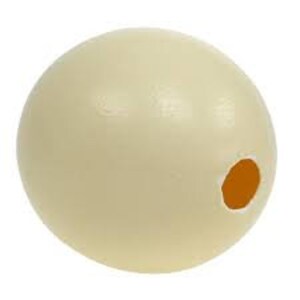 Ostrich egg image 4