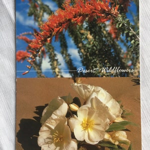 Tarjeta de flores del desierto, postal del suroeste, postal de cactus, postal de flores, cactus del suroeste, postal del desierto, saludo del suroeste, tarjeta del desierto