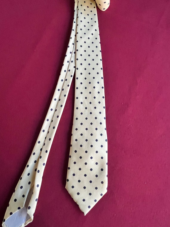 Polka Dot Tie, Blue Necktie, Light Blue Tie, Past… - image 8