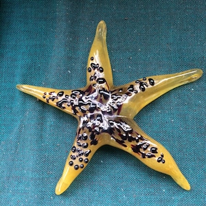Blown Glass Starfish, Starfish Sculpture, Starfish, Starfish Art, Glass Paperweight, Beach Decor, Beach Sculpture, Desk Art, Ocean Art