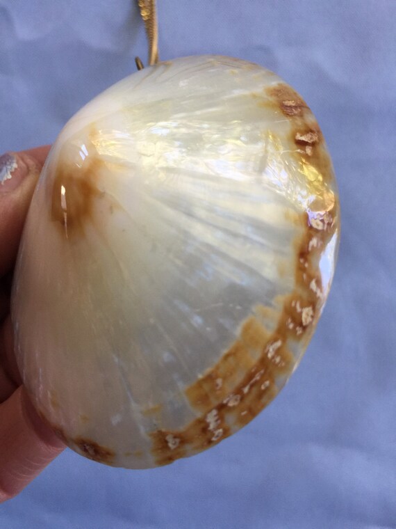 Big Shell Necklace, Shell Pendant, Shell Necklace… - image 6