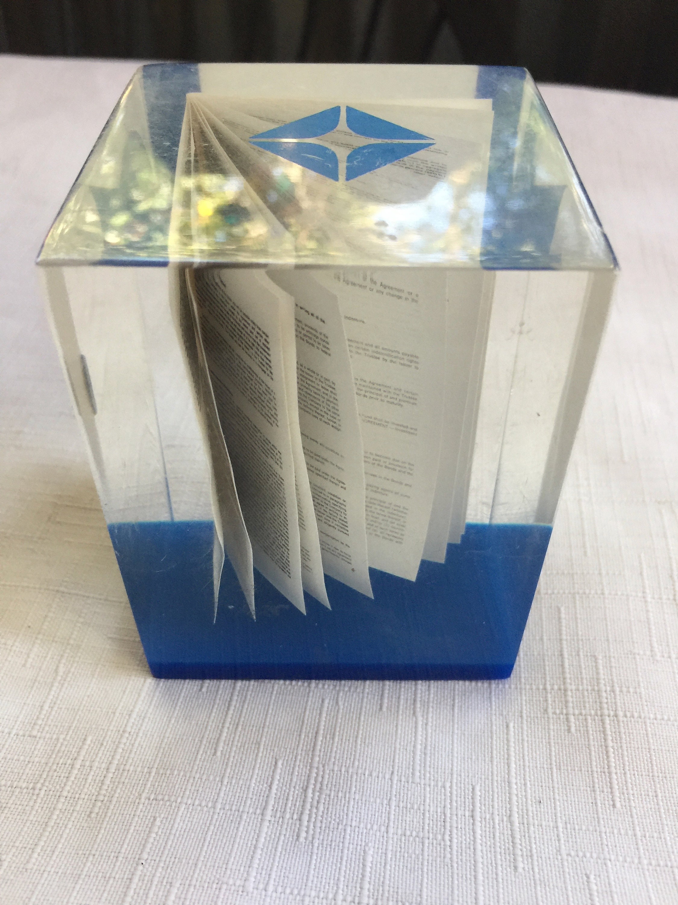 Historic Paperweight, Banker Gift, Environmental, Investor Ecology Art, Ecology, Climate Change, Pollution, Desk Acrylic Cube 80S