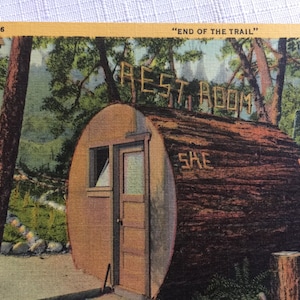 Carte postale Séquoia, Parc national, Carte postale de forêt, Carte postale de Californie, Arbre au volant, Carte postale d'arbre, Carte postale de nature, Carte postale de monument