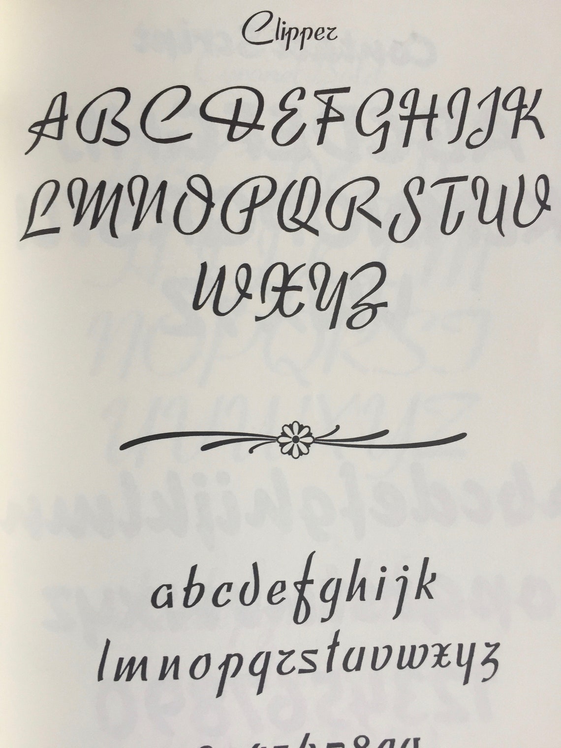 Script Fonts, Display Fonts, Typographic Collection, Font Collection ...