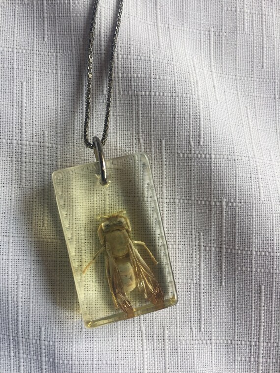 Insect Necklace, Housefly Pendant,Bug Pendant, Insect Pendant, Bug Necklace, Bee Pendant, Taxidermy Pendant, Bee Necklace, Housefly Necklace