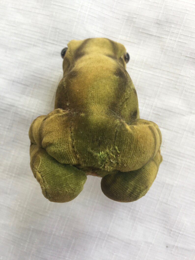 Rana Steiff, rana ripiena, rana da collezione, Steiff da collezione, rana peluche, collezione di rane, rana, rana di velluto, rana tedesca, rana giocattolo immagine 5