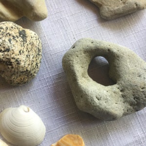 Shell Collection, Shell Lot, Beach Rocks, Pretty Rocks, Rock Collection, Rock Lot, Beach Shells, Unusual Rocks, Unusual Shells, Beach Decor