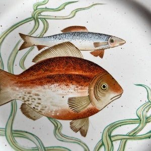 Fish Art Plate, Fish Art Dish, Trinket Plate, Ocean Plate, Beach Plate, Beach Kitchen, Fish Decor, Sea Plate, Ocean Dish, Fish Art, La Mer