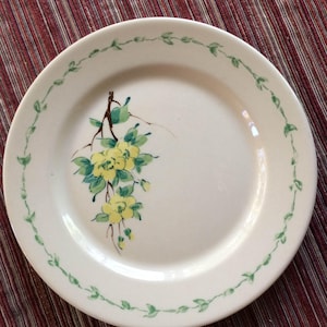 Puede incluir: Un plato de cerámica blanco con un borde de vid verde y flores amarillas con hojas verdes.