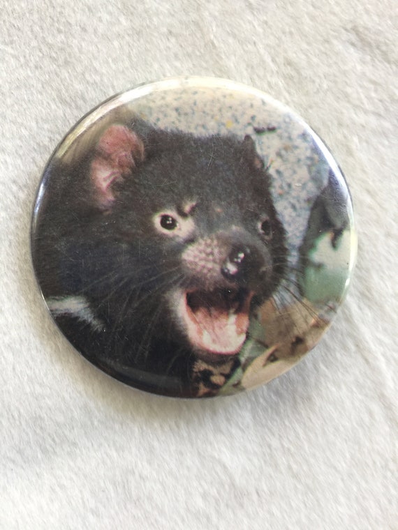 Tasmanian Devil, Wombat, Tasmanian PIn, Animal Pi… - image 1