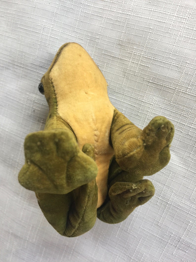 Rana Steiff, rana ripiena, rana da collezione, Steiff da collezione, rana peluche, collezione di rane, rana, rana di velluto, rana tedesca, rana giocattolo immagine 6