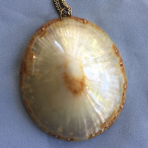 Big Shell Necklace, Shell Pendant, Shell Necklace, Huge Shell Necklace, Huge Shell Pendant, Big Shell Pendant, Ocean Pendant, Boho Pendant