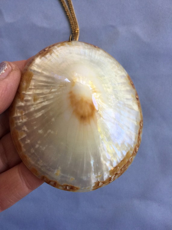 Big Shell Necklace, Shell Pendant, Shell Necklace… - image 5