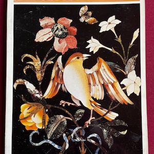 Bird Book, Bird Art Book, Bird Book, Illustration Bird, Bird Lover, Bird Gift, Bird Fan, Illustrated Book, Aviary, Bird Images, ART BOOK