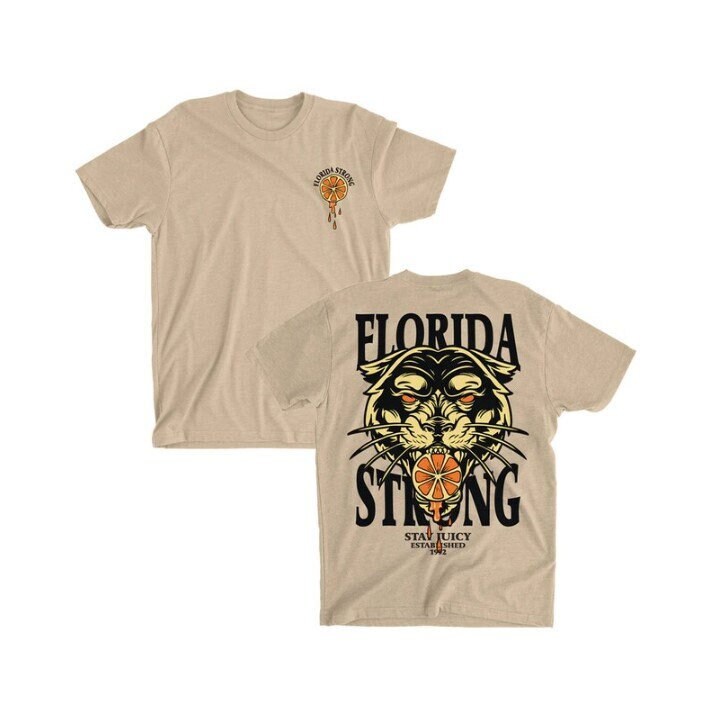 I Survived Hur.ricane I.an Shirt, Flo.rida Hur.ricane T-shirt, Hur ...
