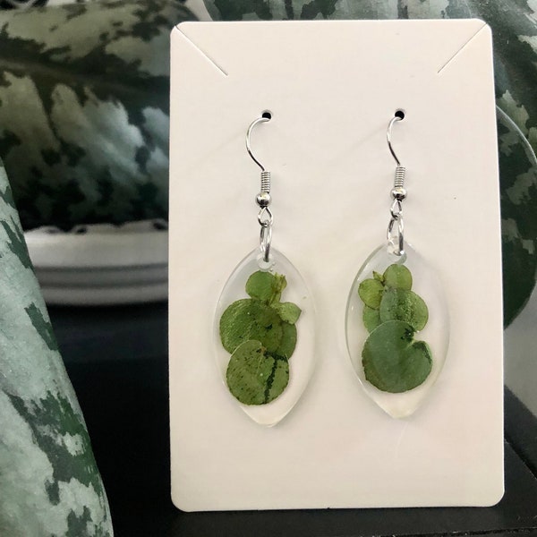 Handmade real pressed eucalyptus earrings | Botanical jewelry | Gardener gift | Nature inspired gift | Wedding gift | BLOOMS Collection