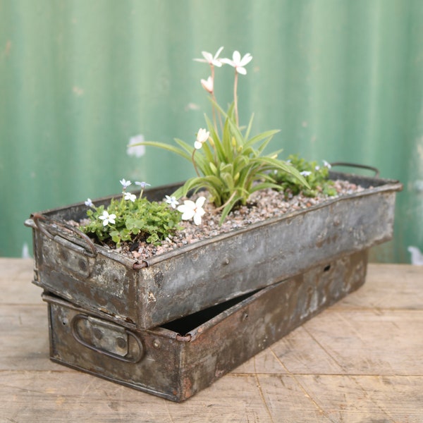 Reclaimed Small Shallow Metal Tray. Vintage Alpine Succulent Planter.