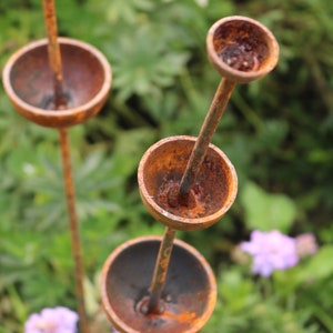 May include: A rusty metal garden sculpture with multiple round bowls stacked on top of each other. The sculpture is in a garden setting with green foliage and purple flowers.