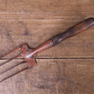 May include: A vintage hand tool featuring a four-pronged metal fork with a weathered, rusted orange finish. The fork is attached to a dark, cylindrical wooden handle that shows signs of age and wear, with a smooth, rounded end for gripping.