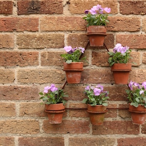 May include: Six terracotta pots with purple flowers are hanging on a brick wall in a triangular pattern.