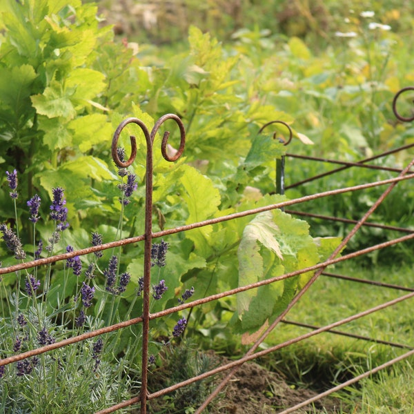 FILL-IN Steel Fence Garden Border Lawn Edging Rusted Plant Support. Custom.