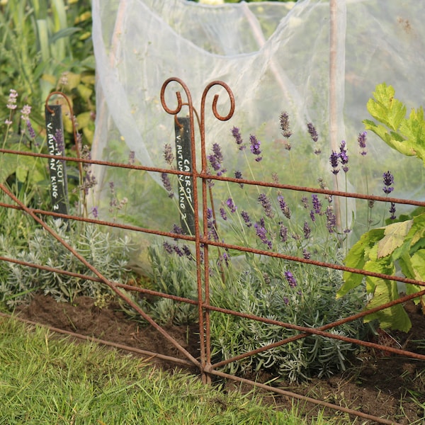 Steel Fence Garden Border Lawn Edging Rusted Plant Support. 77CM.