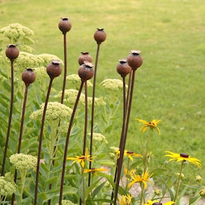 Soporte para plantas de jardín con estaca decorativa de metal oxidado con forma de cabeza de amapola, tamaño mediano. 95 cm.