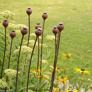 Medium Metal Poppy Seed Head Decorative Garden Rusted Stake Plant Support. 1.12m