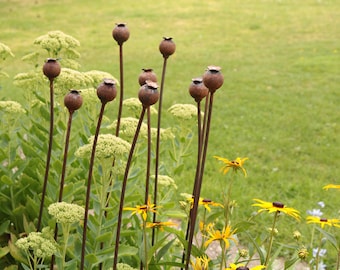 Medium Metal Poppy Seed Head Decorative Garden Rusted Stake Plant Support. 1.12m