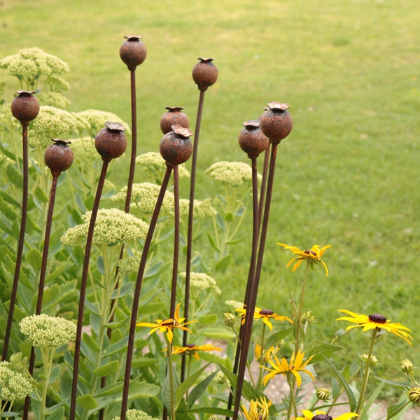 Soporte para plantas de jardín con estaca decorativa de metal oxidado con forma de cabeza de amapola, tamaño mediano. 95 cm.