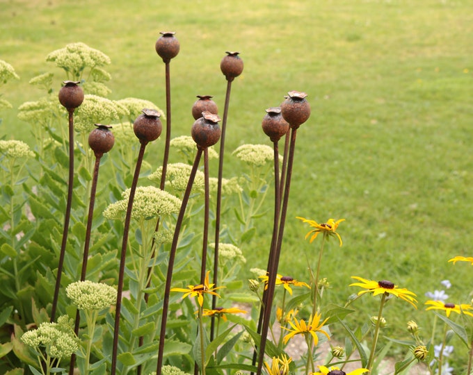 Medium Metal Poppy Seed Head Decorative Garden Rusted Stake Etsy UK