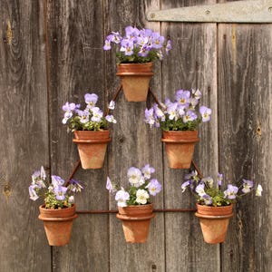 May include: A wooden door with a metal hinge displays a decorative arrangement of six small terracotta pots. Each pot is filled with purple and white pansies, forming a vertical garden. The pots are suspended by a metal frame, creating a charming display.