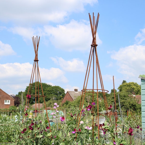 2.3m Tall Folding Metal Wigwam Bean Poles Garden Plant Support Obelisk