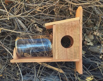 Squirrel feeder large glass for spring