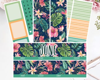 EC 7x9 JUNE Monthly Kit | Planner Stickers |  2018