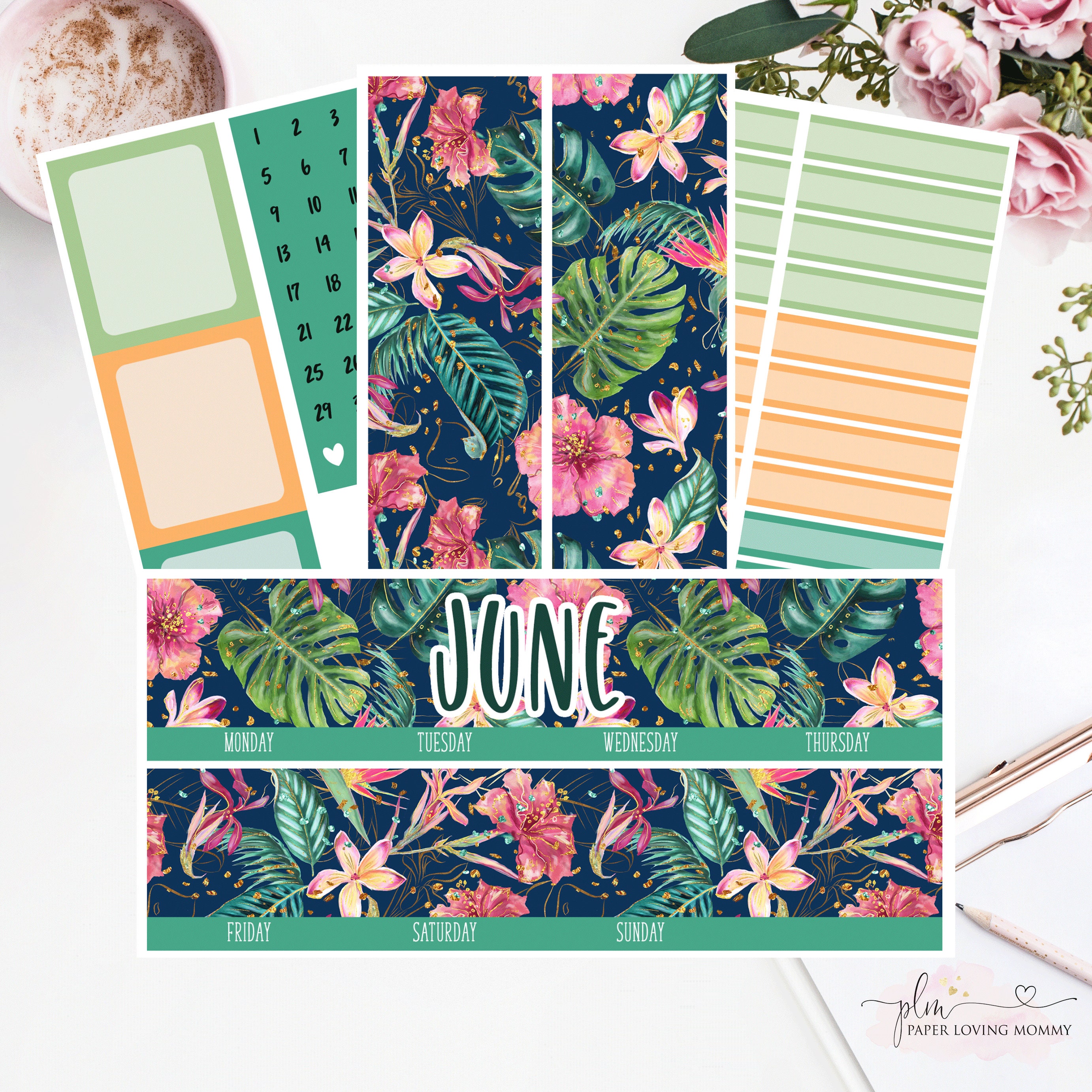 EC 7x9 JUNE Monthly Kit | Planner Stickers |  2018