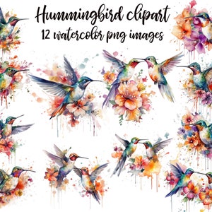 Hummingbird Clipart, Watercolor Hummingbird, Bird Scrapbook, Hummingbird image, Hummingbird nursery, Hummingbird poster Buy 2 Get 1 Free