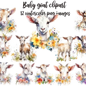 Baby goat clipart, Goat illustration, Watercolor baby goat, Baby goat image, Baby goat nursery, Baby goat poster Buy 2 Get 1 Free