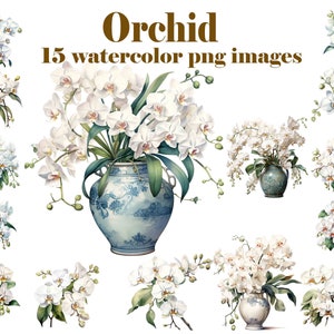 Exquise Orchid Clipart Set, afdrukbare bloemafbeeldingen voor ambachtslieden, bloemenafbeeldingen voor doe-het-zelfprojecten Koop 2, ontvang 1 GRATIS